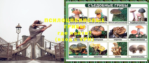 эйфоретик Абинск