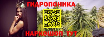 наркотики Нальчик