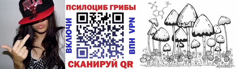 купить  цена  Чебаркуль  hydra ТОР  Псилоцибиновые грибы Psilocybe 