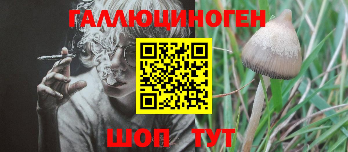 Чебаркуль  Псилоцибиновые грибы мицелий  сколько стоит  Вход с VPN  Псилоцибиновые грибы ЛСД 